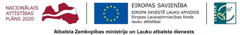 NAP_ES_LEADER-1.jpg
