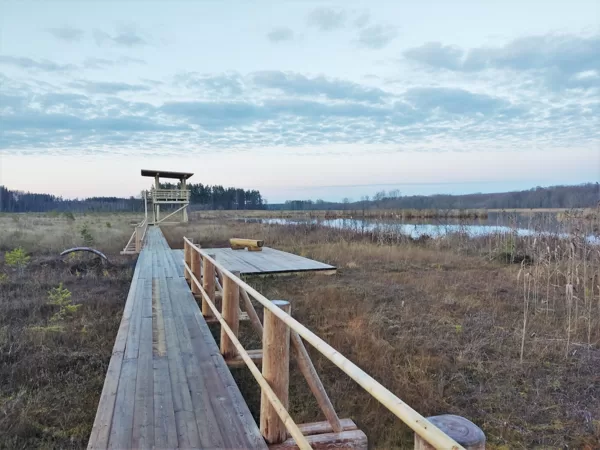 Dabas izziņas pastaigu taka Pelēču ezera purvā, Leader stāsts VIDEO