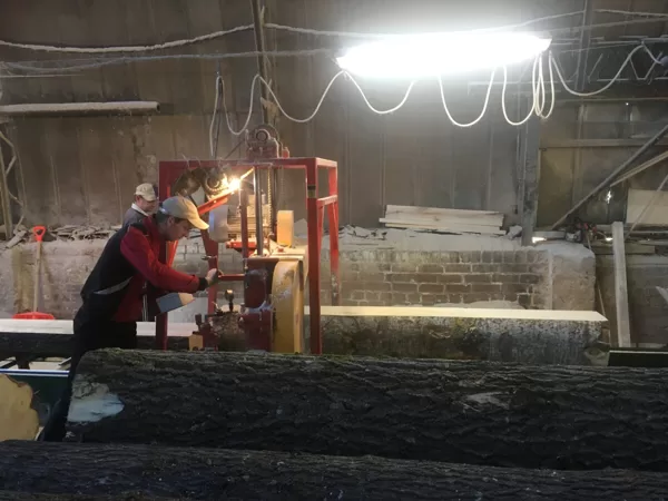 Kokapstrādes uzņēmuma SIA ‘’AP WOODS” ilgstspējīgai attīstībai
