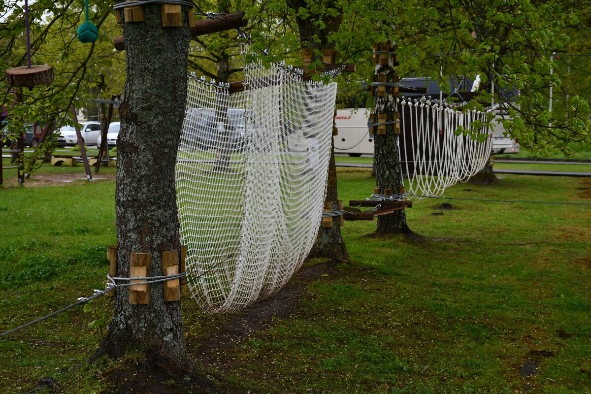 DSC_8419.jpg